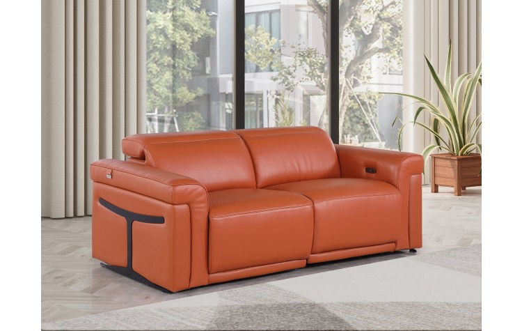 1126 DivanItalia Camel Top Grain Italian Leather Loveseat with Power Headrest