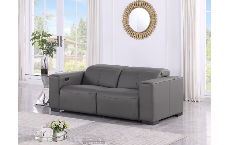 1208 Dark Grey Genuine Leather Power Reclining Loveseat with Power Headrest