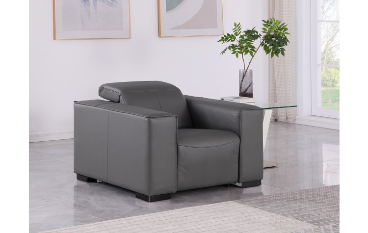  1208 Dark Grey Power Reclining Genuine  Leather Chair with Power Headrests