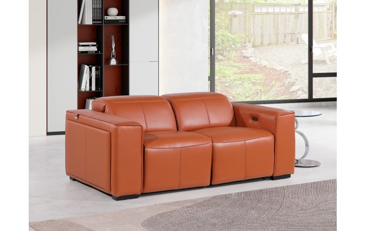 1224 - DivanItalia Camel Top Grain Italian Leather Loveseat with Power Headrest