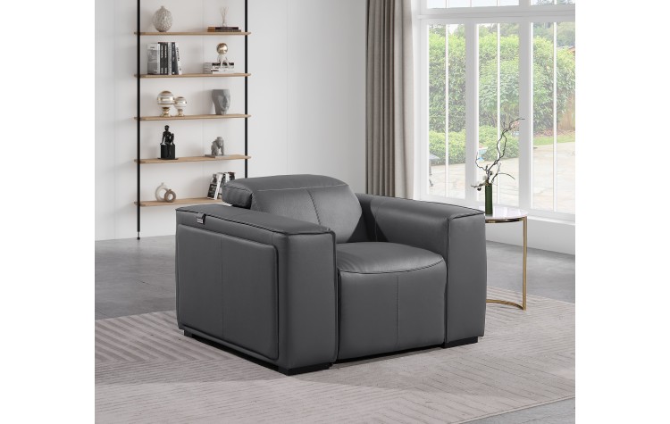 1224 - DivanItalia Dark Grey Power Reclining Arm Chairwith Power Headrests - Top Grain Italian Leather