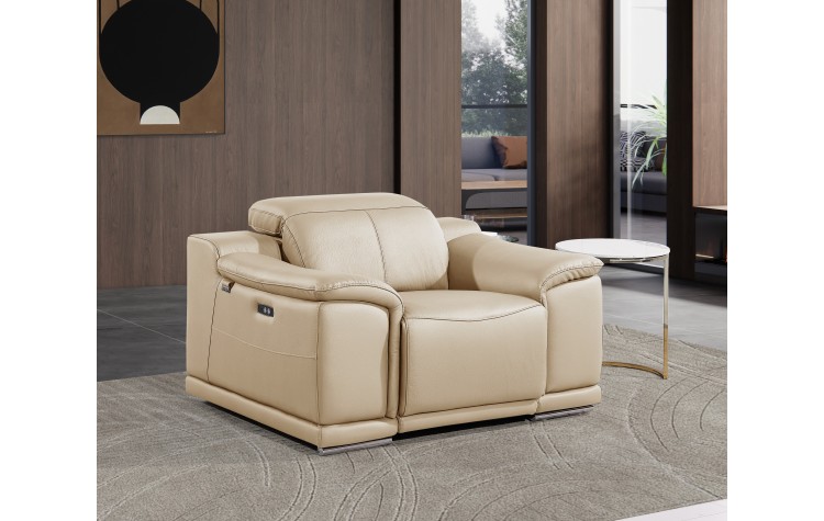 9762 DivanItalia Top Grain Italian Leather Power Reclining Chair with Adjustable Headrest