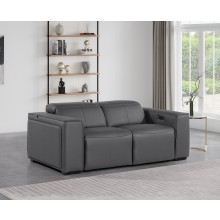 1224 - DivanItalia Dark Grey Top Grain Italian Leather Loveseat with Power Headrest